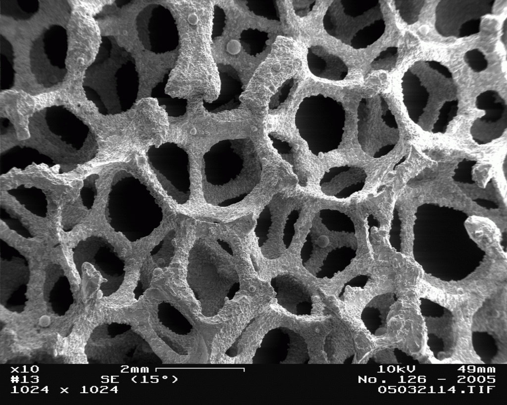 Image-Metal_Foam_in_Scanning_Electron_Microscope,_magnification_10x_b