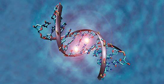 Эпигенетика: читаем между строк ДНК