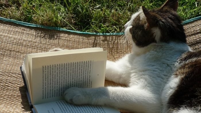 Что читать на английском, если цель — изучение языка?